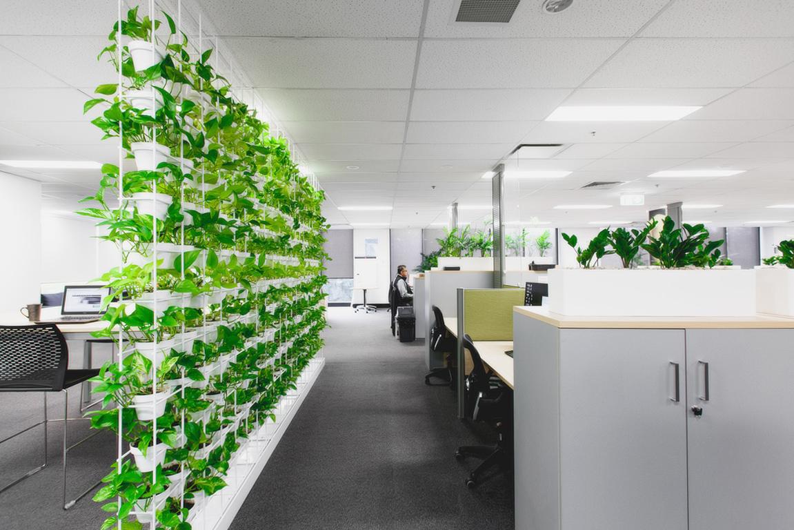 cay-xanh-van-phong-vision-decor